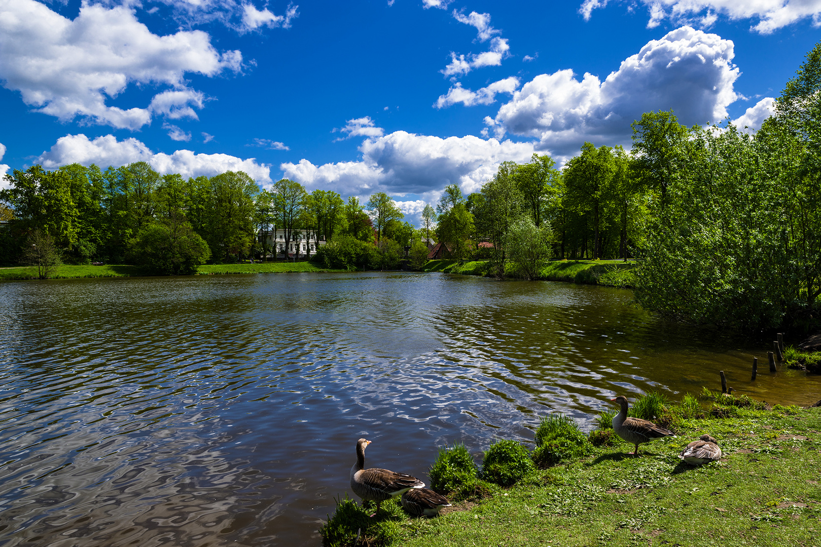 Glinde am Mühlenteich 07