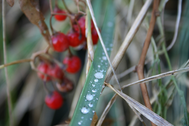 glissade d'eau