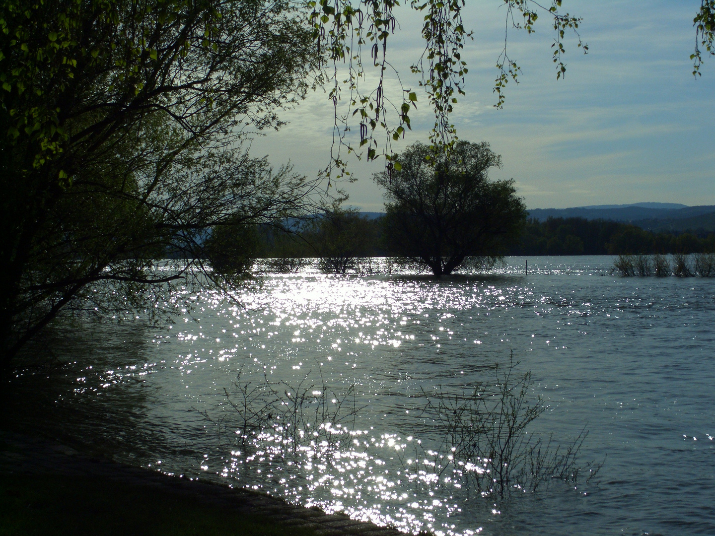 Glitzender Rhein