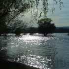 Glitzender Rhein