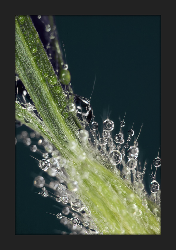 Glitzer Die Die Flugel Bewegen Foto Bild Experimente Wasser Tropfen Bilder Auf Fotocommunity
