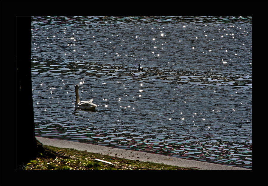 Glitzerkanal