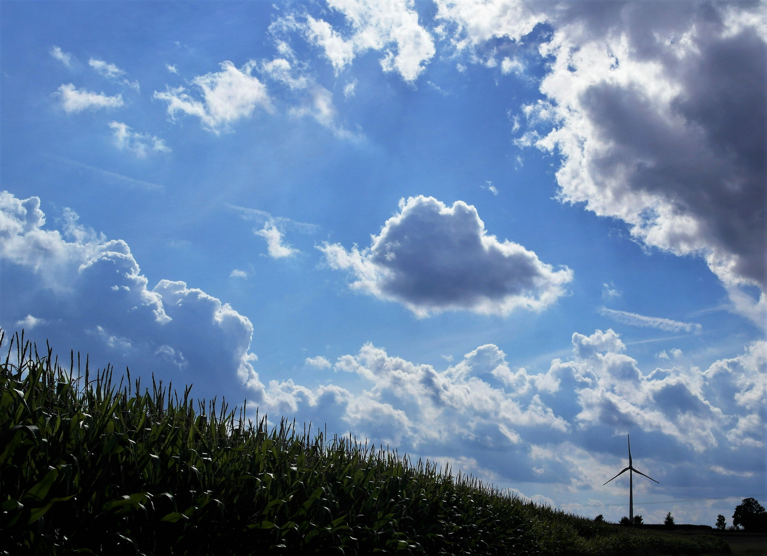 Glitzermais und Wolkenzauber