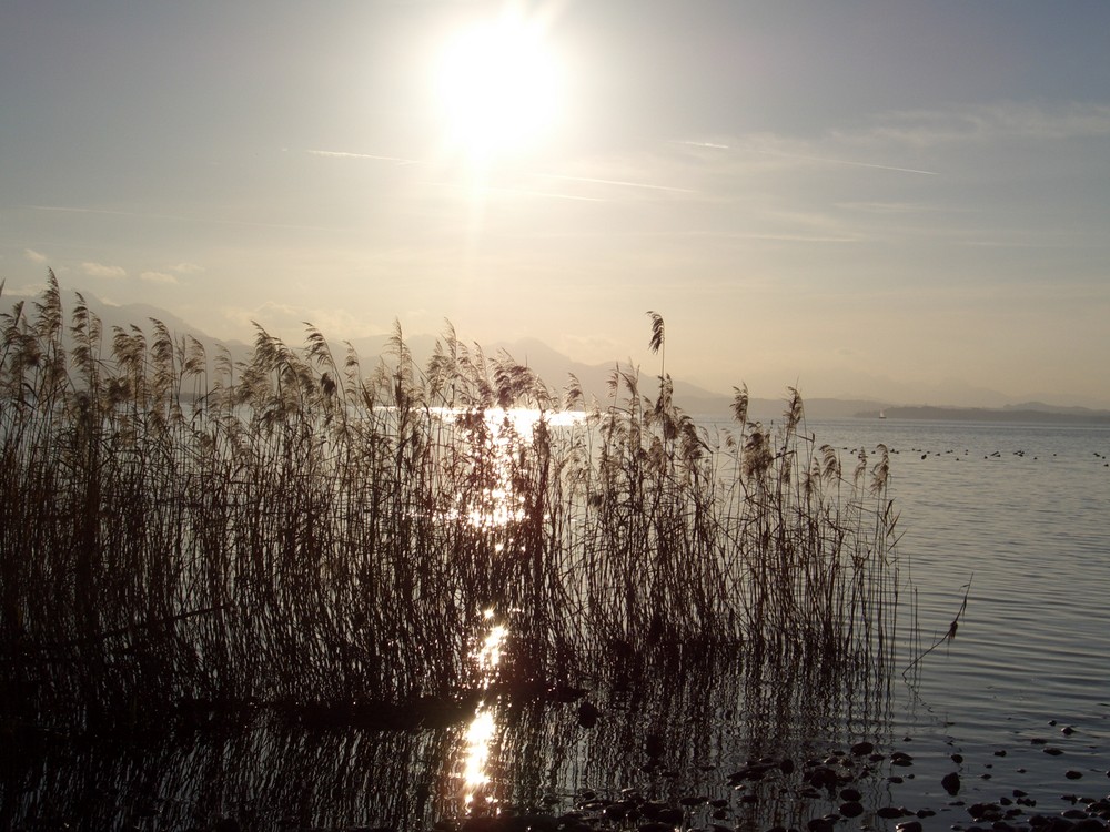 Glitzern am See