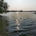 Glitzern am See