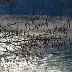 Glitzern am Waldweiher