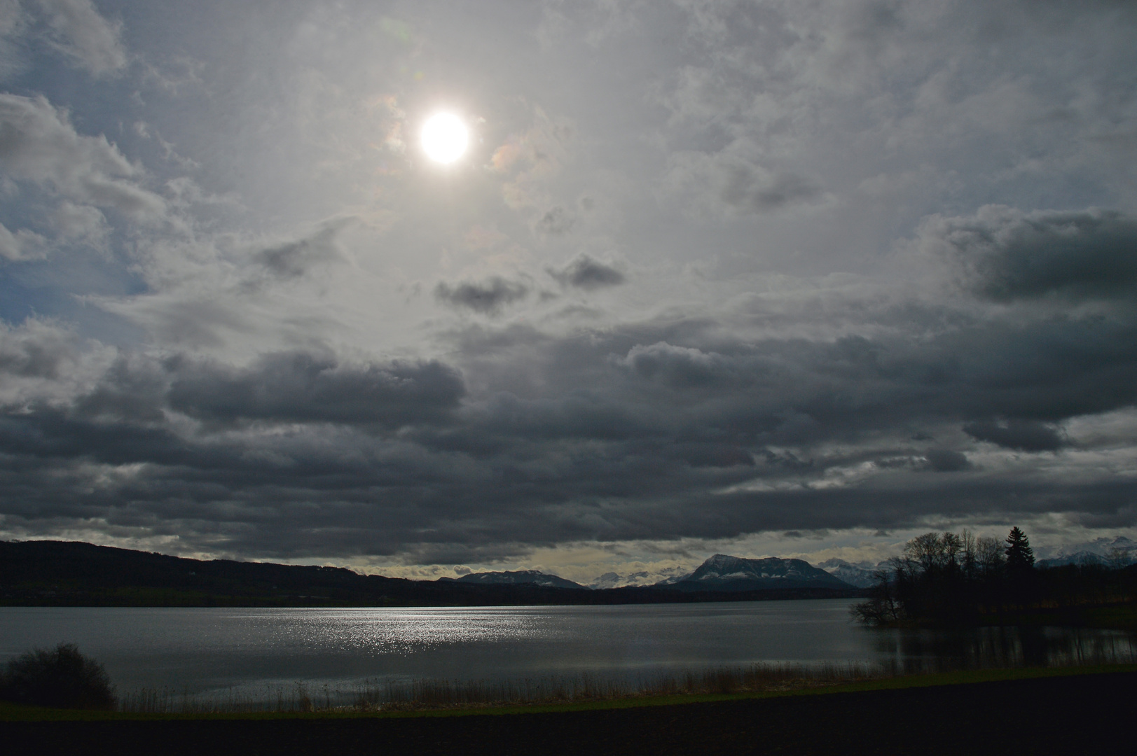 [ glitzern auf dem Baldeggersee ]