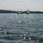 Glitzern auf dem Chiemsee