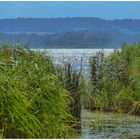 Glitzern auf dem See