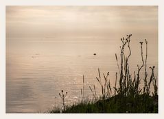 glitzern auf dem Wasser