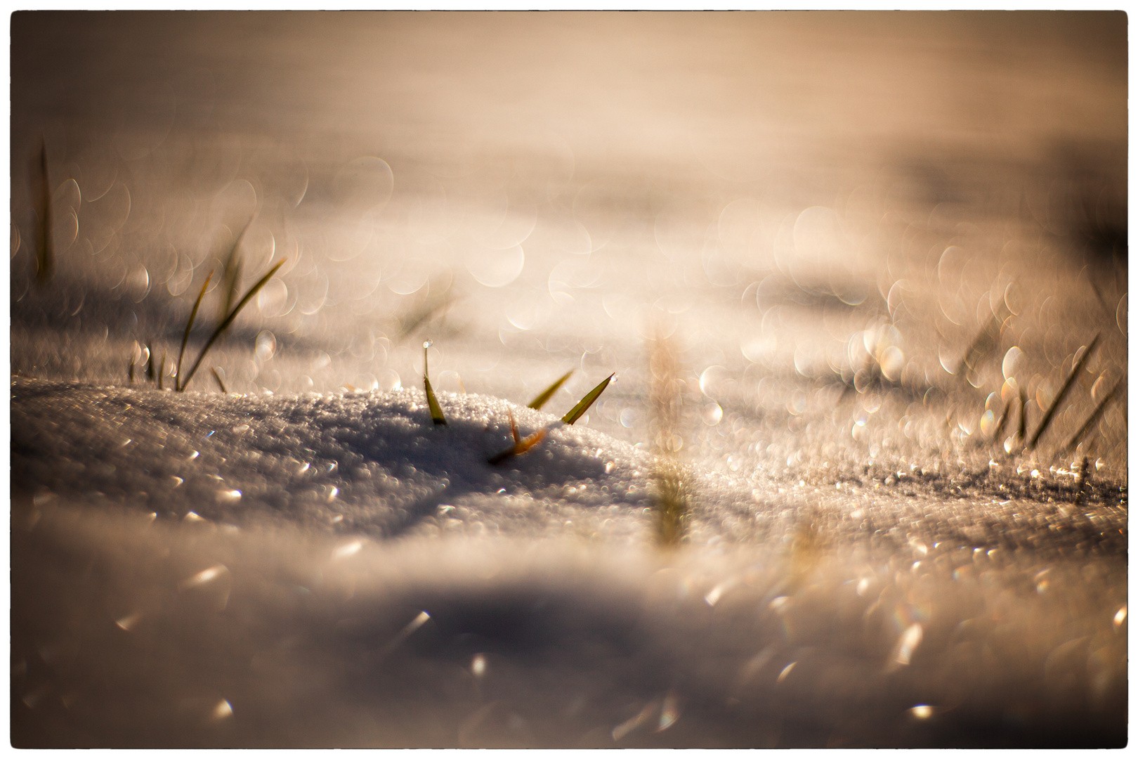 Glitzern im Schnee