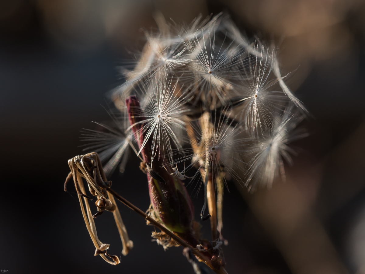 Glitzern im Sonnenlicht