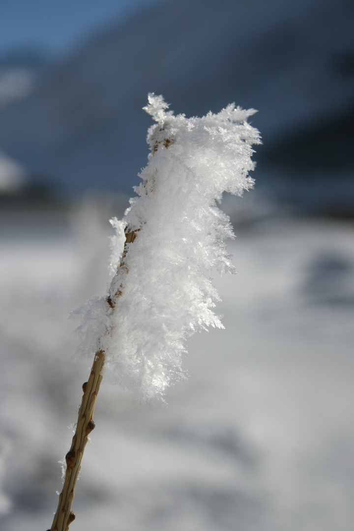 Glitzernde Eiskristalle