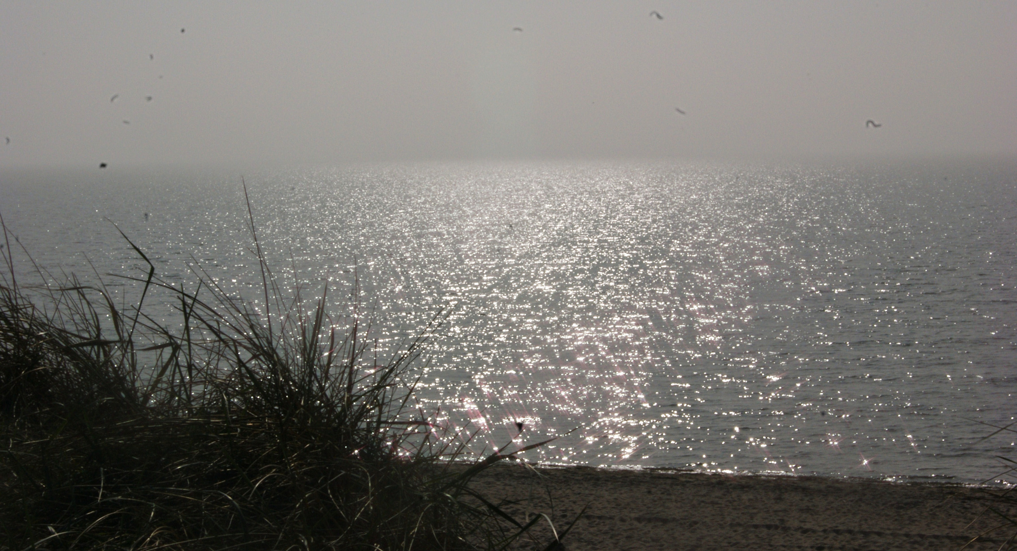 Glitzernde Nordsee