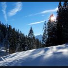 Glitzernde Waldlichtung