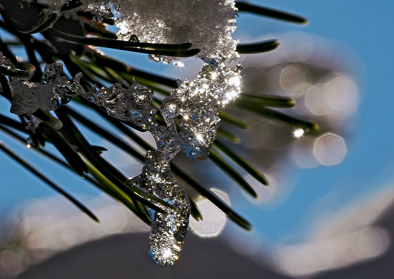 Glitzernde Winterwelt! - Le monde hivernal scintille! 