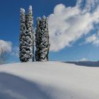 Glitzernder Neuschnee in Lautlingen