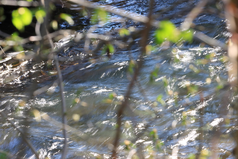 glitzerndes wasser / und plätscherndes licht / ein neuer morgen am bach