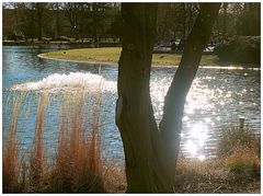 Glitzerperlen im Stadtparkteich