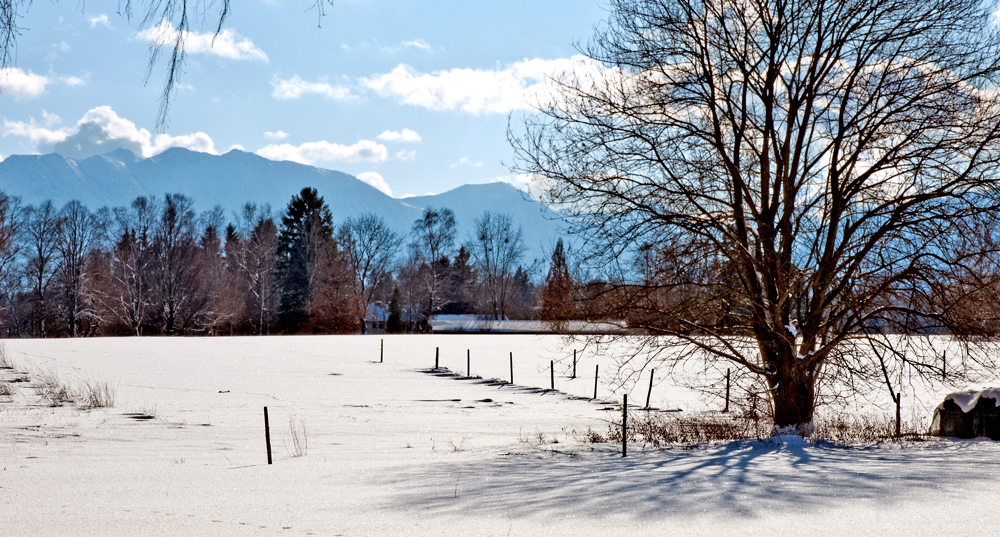 GLITZERSCHNEE