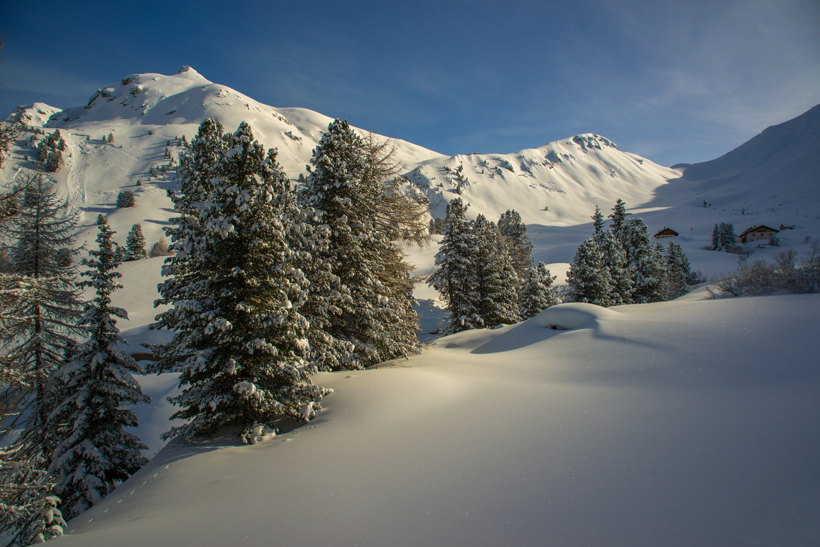 Glitzerschnee am Morgen