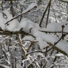 Glitzerschnee statt Osterglocken