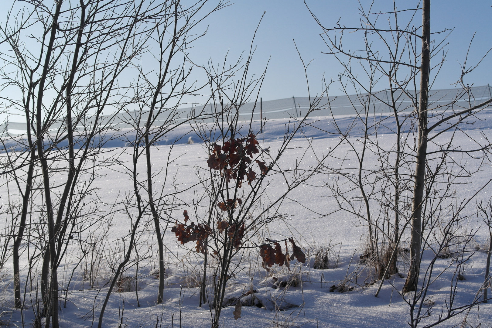 Glitzerschnee unter blauem Himmel