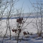 Glitzerschnee unter blauem Himmel