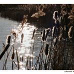 Glitzersee