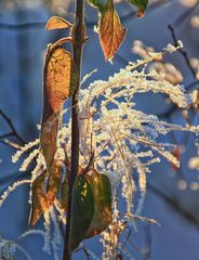 Glitzerstunde