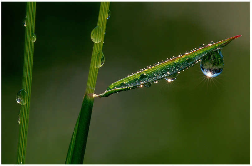 Glitzertropfen