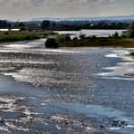 Glitzerwasser am Atmühlsee - blick vom Beobachtungsturm