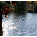 Glitzerwasser in herbstlichem Ambiente