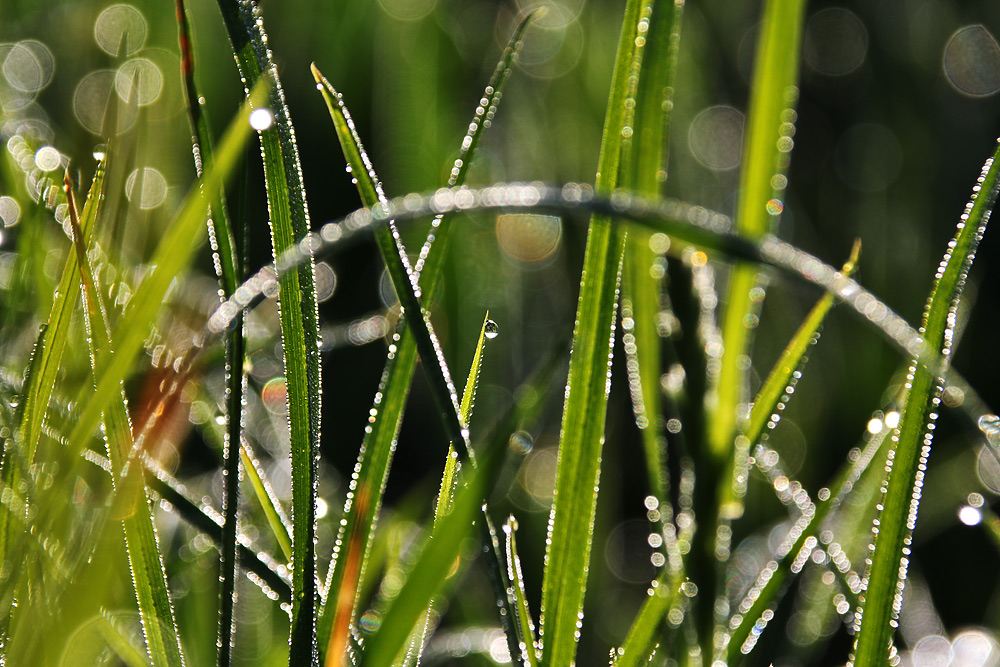 Glitzerwelt am Sonntagmorgen