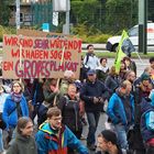 Globaler Klimastreik - Rostock (11)