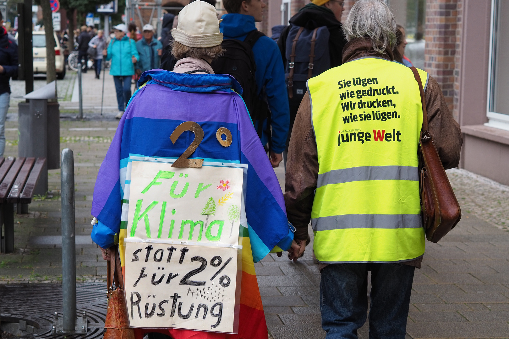 Globaler Klimastreik - Rostock (12)