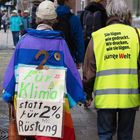 Globaler Klimastreik - Rostock (12)