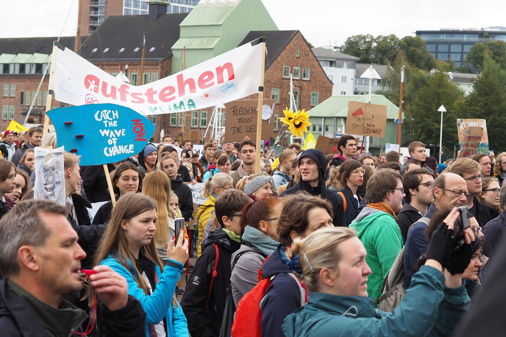 Globaler Klimastreik - Rostock (16)