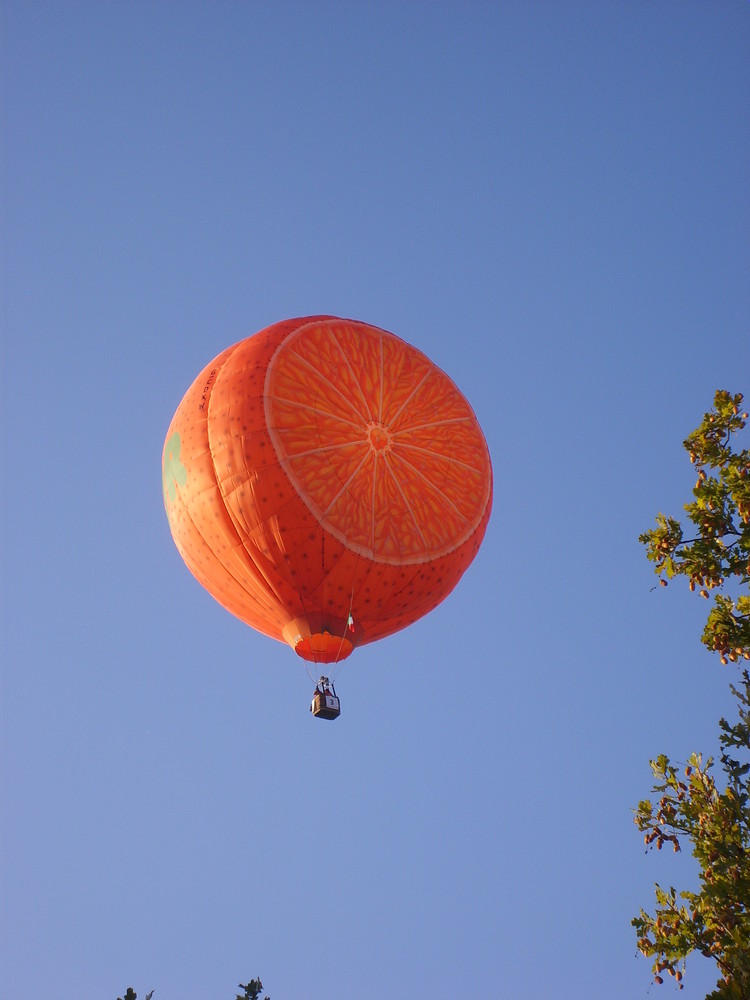 globo