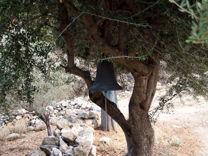 Glocke an einem Olivenbaum