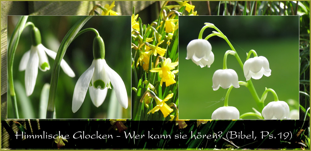 Glockengeläut im Frühling