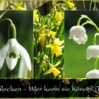 Glockengeläut im Frühling