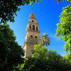 Glockenturm der Mezquita-Catedral