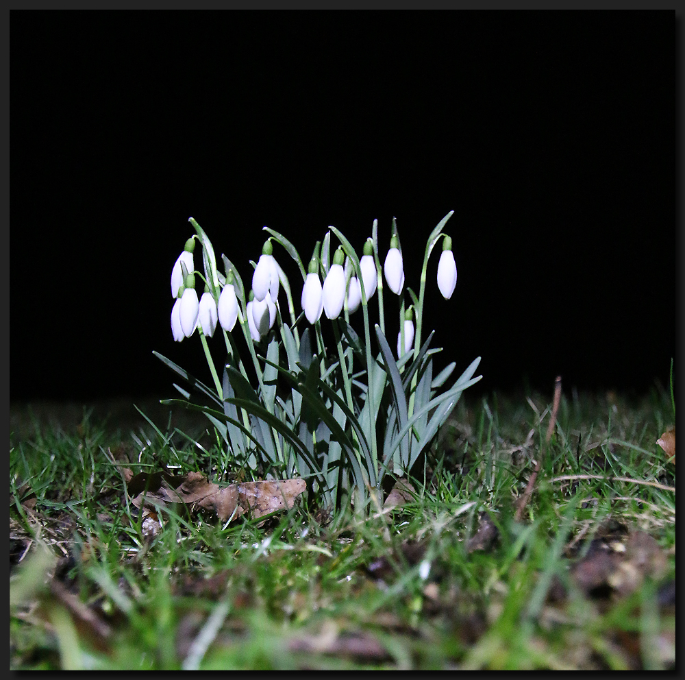 ...Glöckchen in der Nacht...