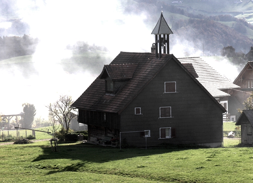 Glöggli im Nebel