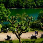 Glör - Bikertreffen an den Linden