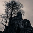 Gloomy Ruin Reußenstein