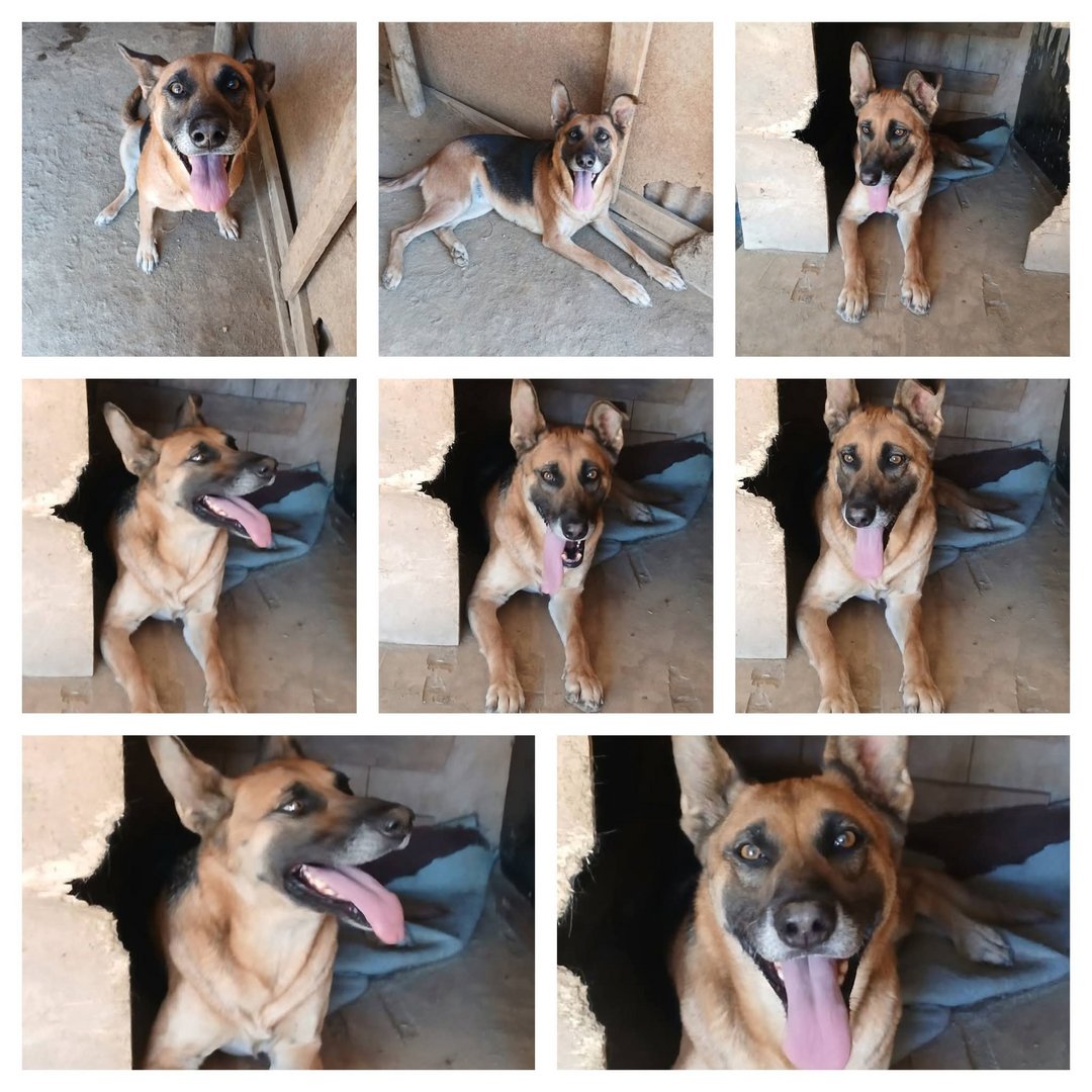 Gloria