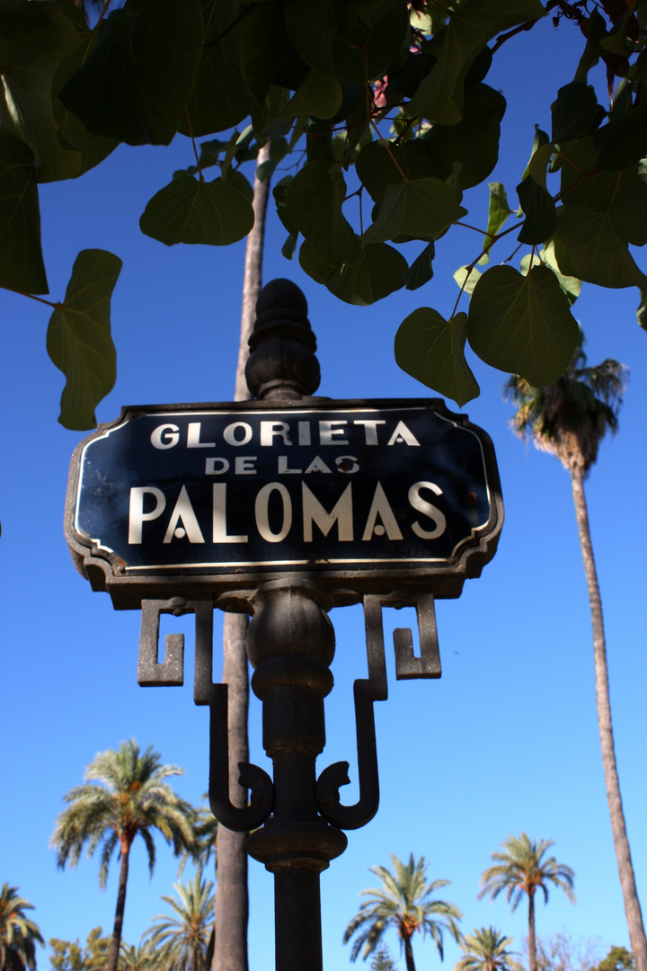 glorieta de las palomas.