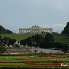 GLORIETTE